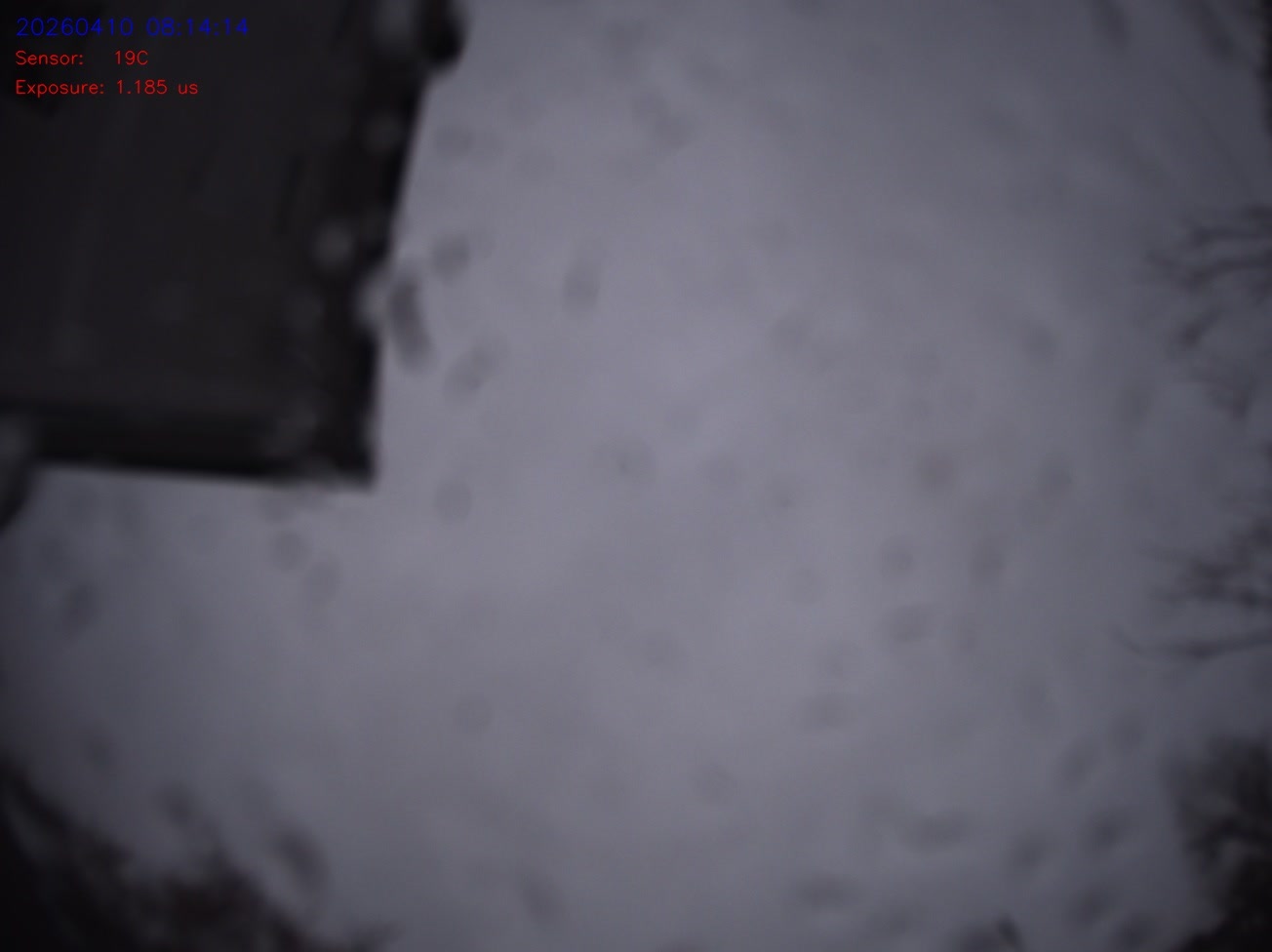 My locationGermany, Bavaria, 86510 Ried