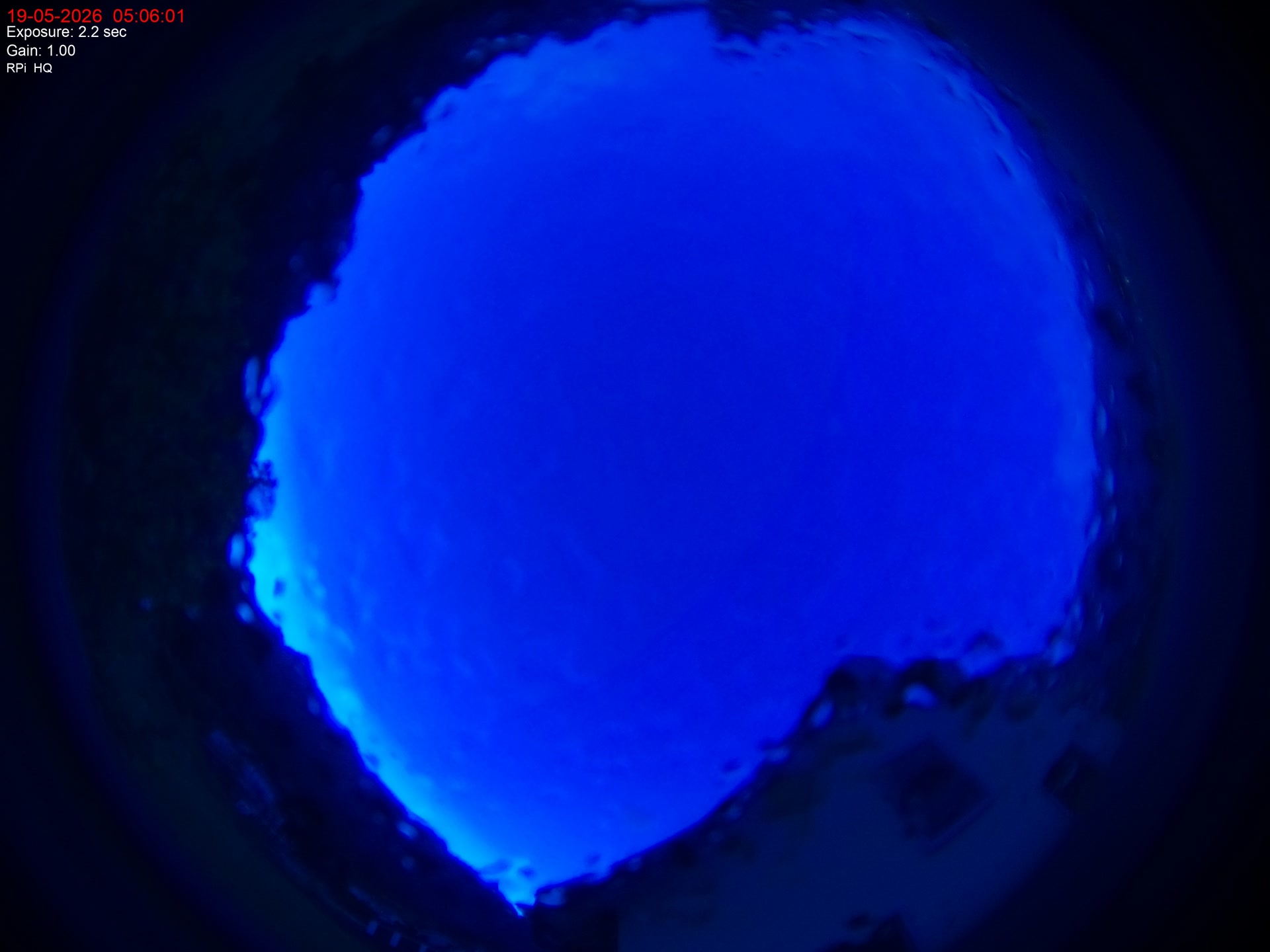 Walenstadt