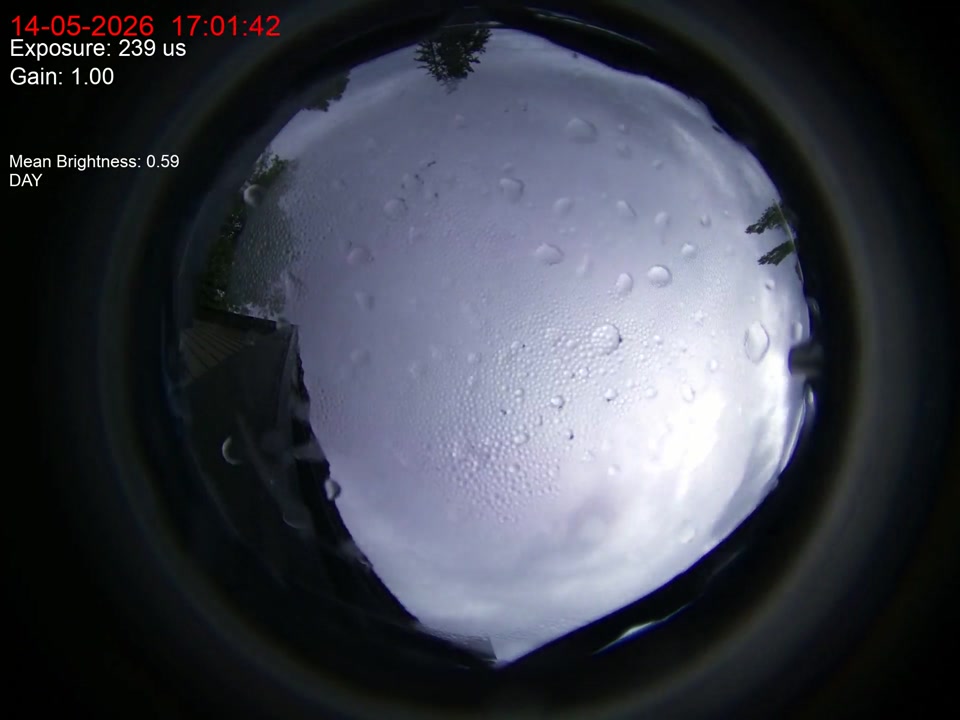 allsky-20260514.mp4