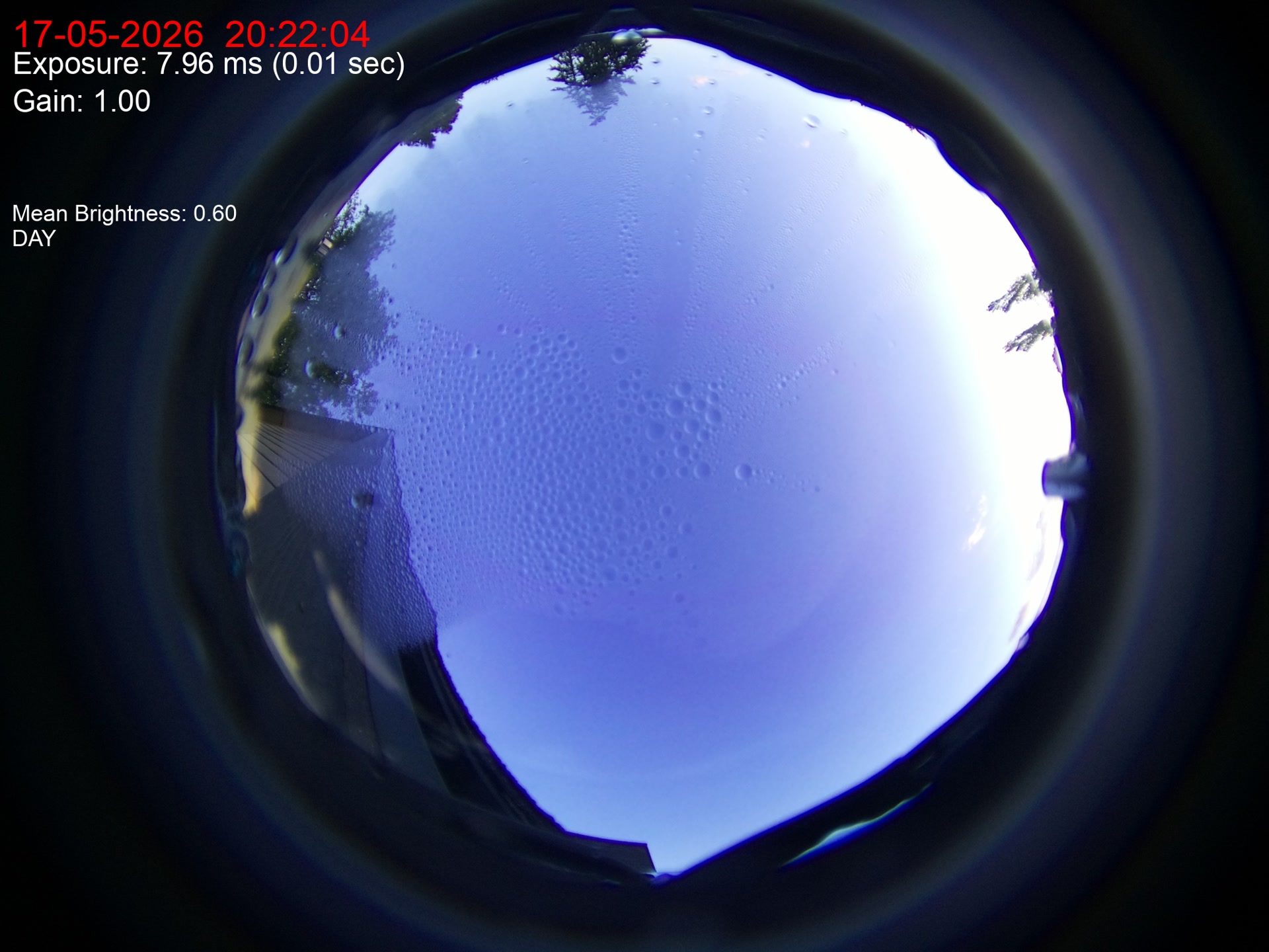 Latest image