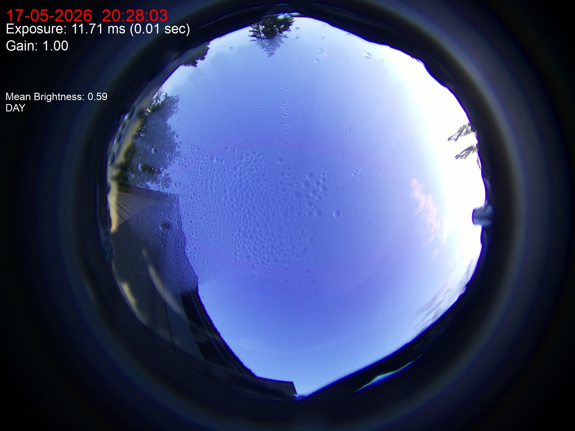 Latest image