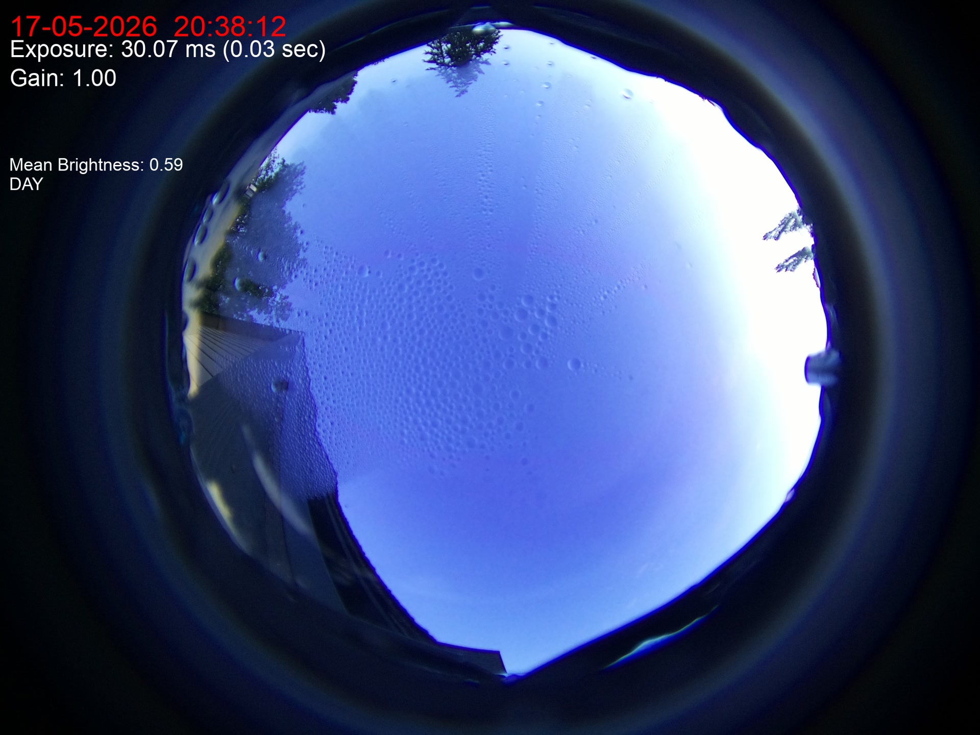 Latest image