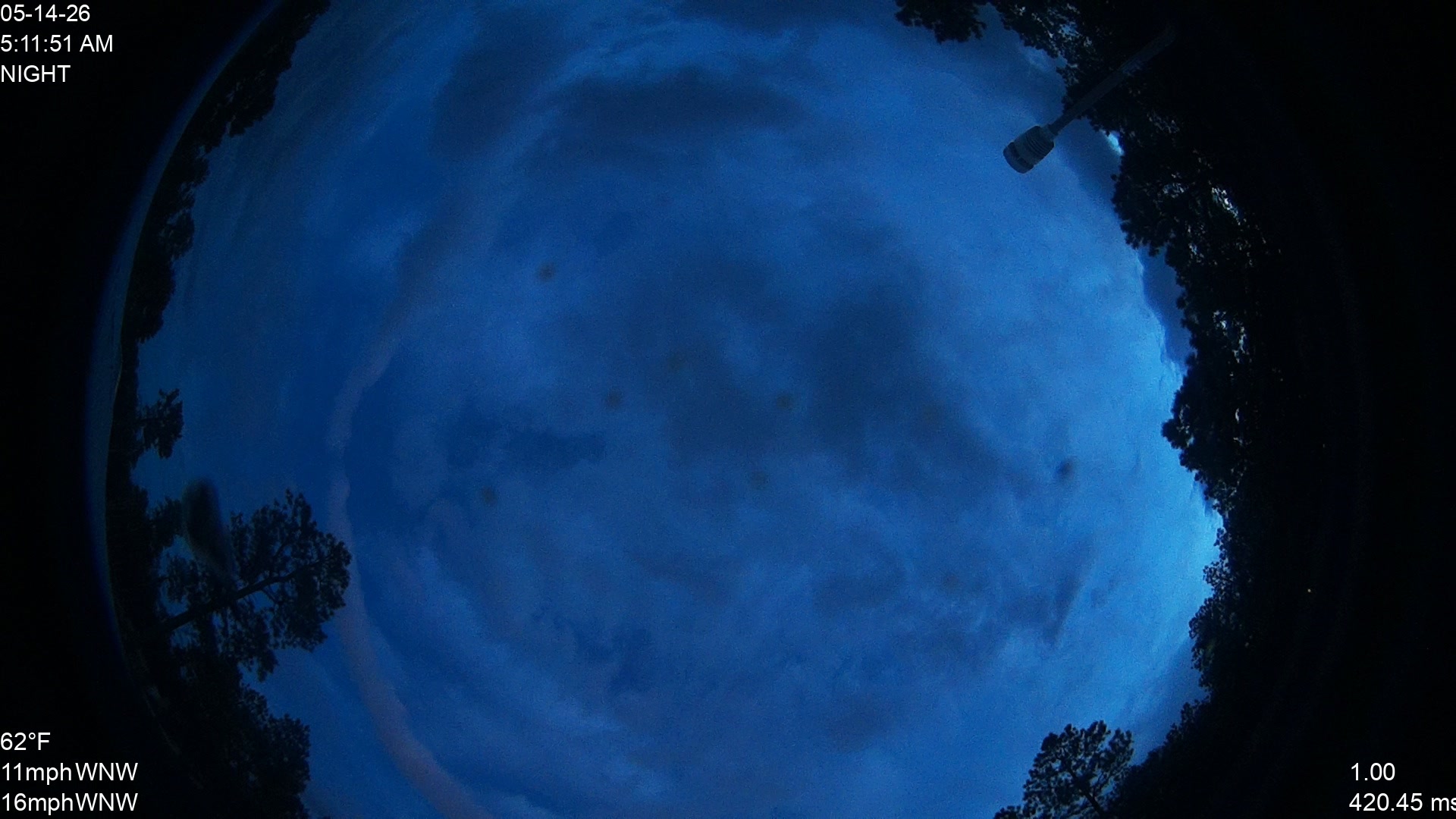 Black Forest,CO