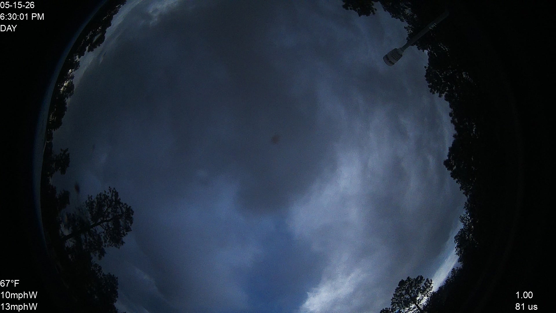 Black Forest,CO