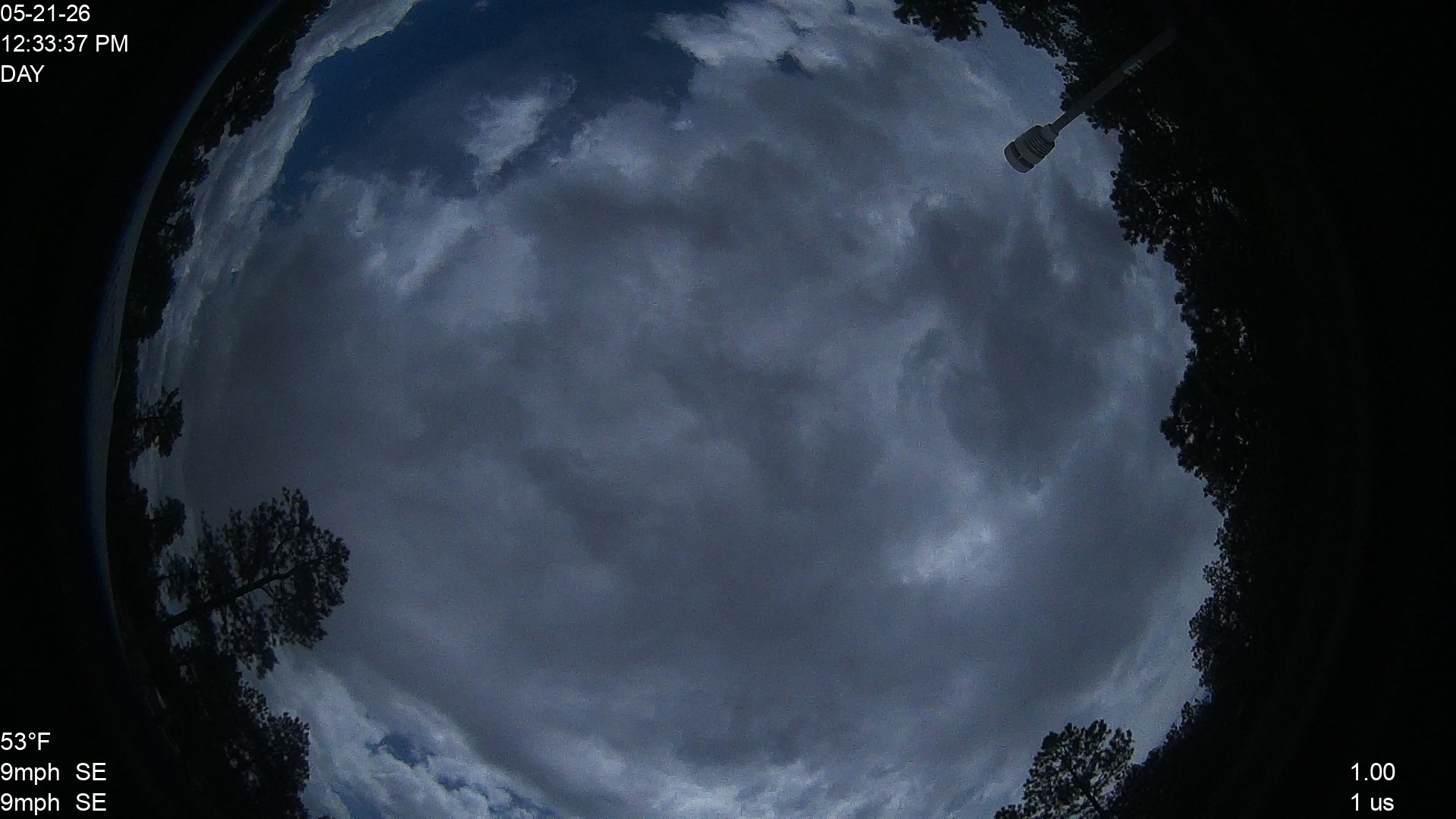 Black Forest,CO