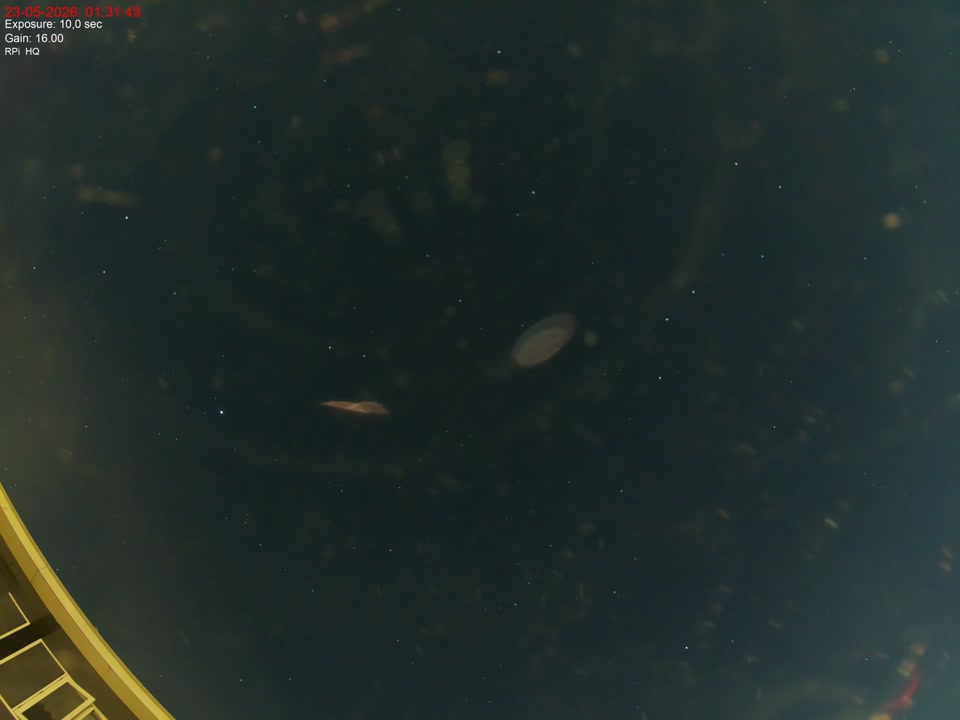 allsky-20260522.mp4