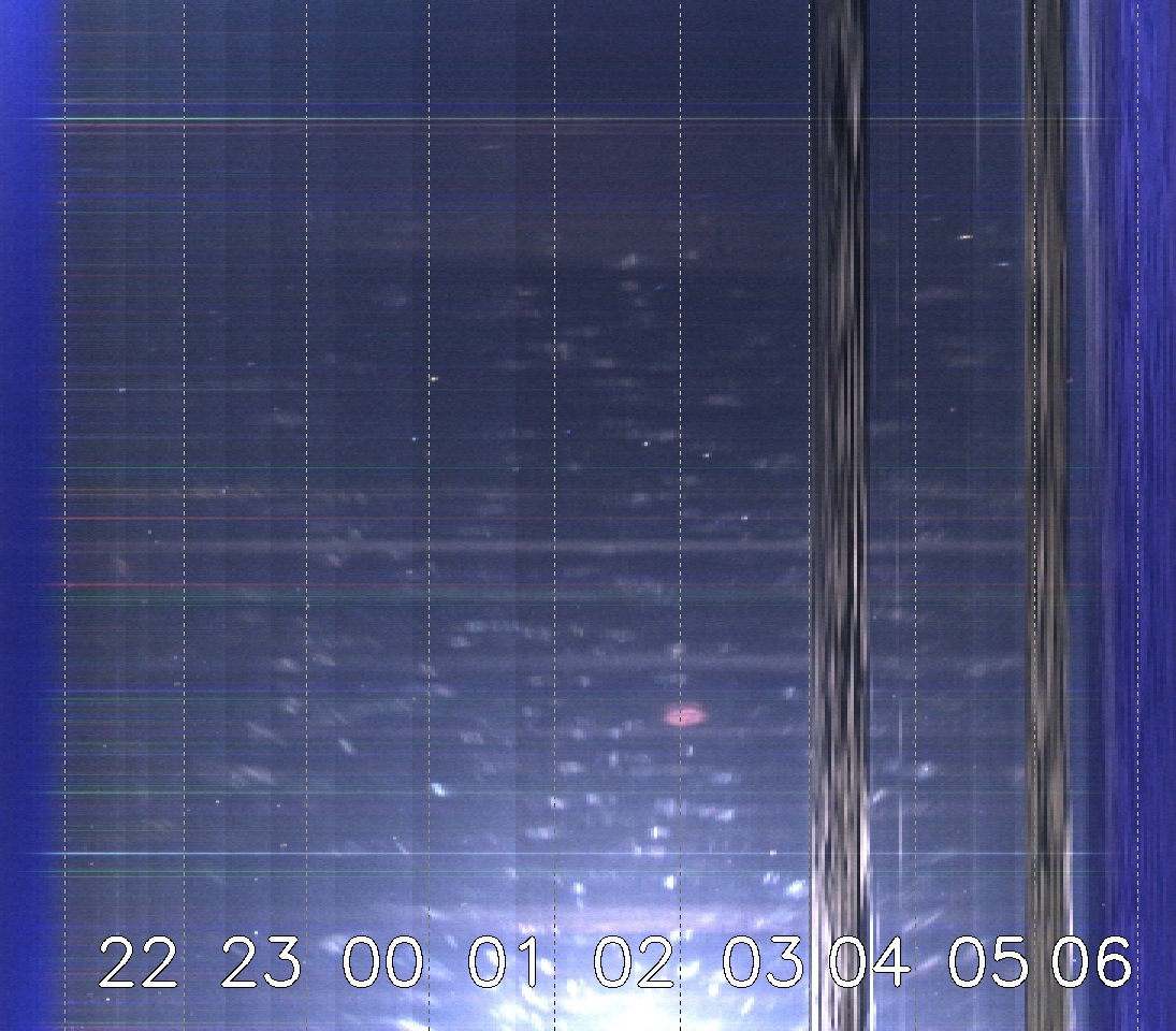 Tirschenreuther Nachbarschaft