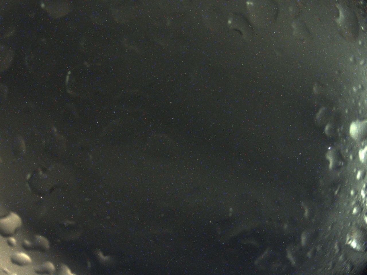 Tirschenreuther Nachbarschaft