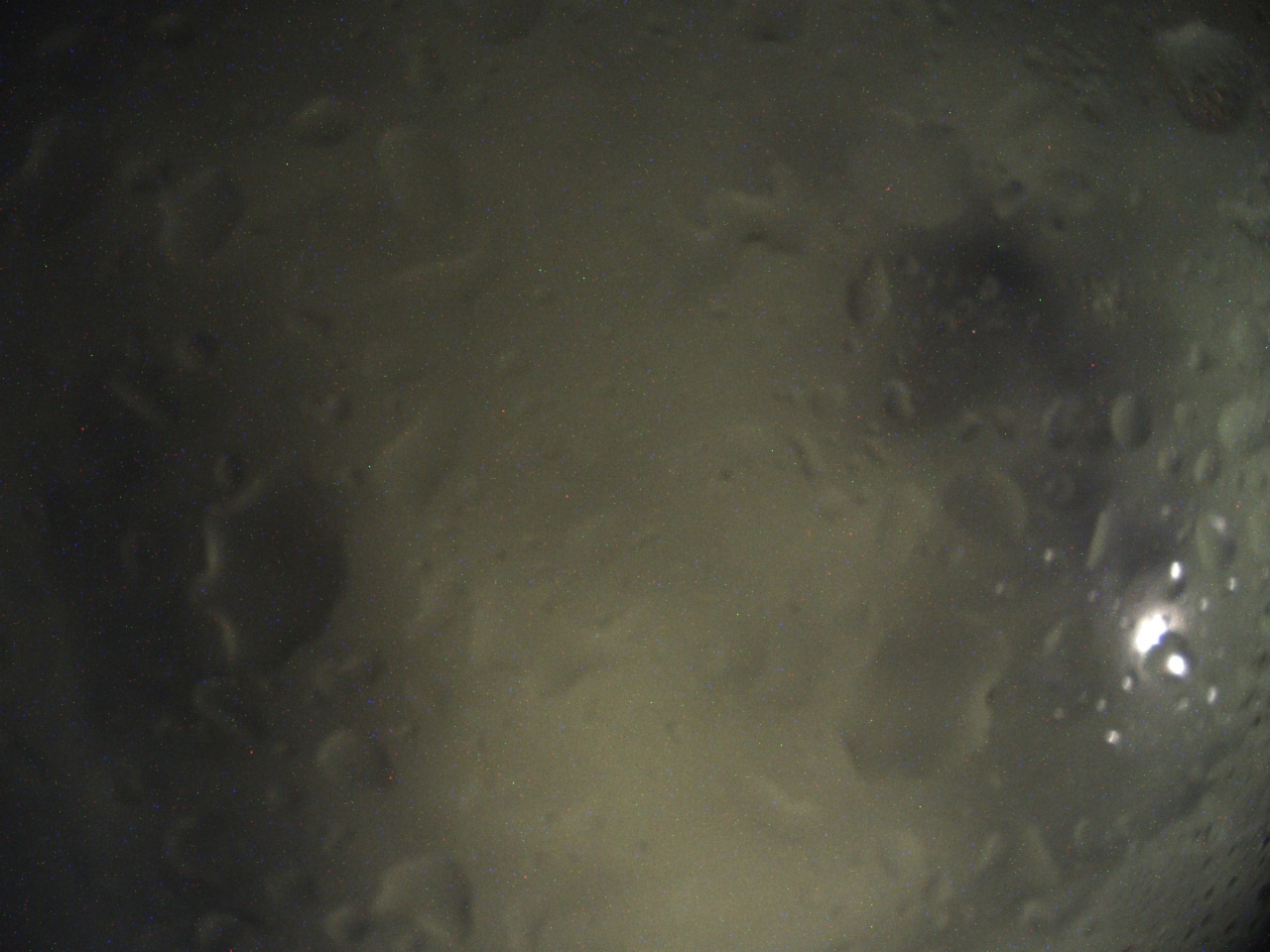 Tirschenreuther Nachbarschaft