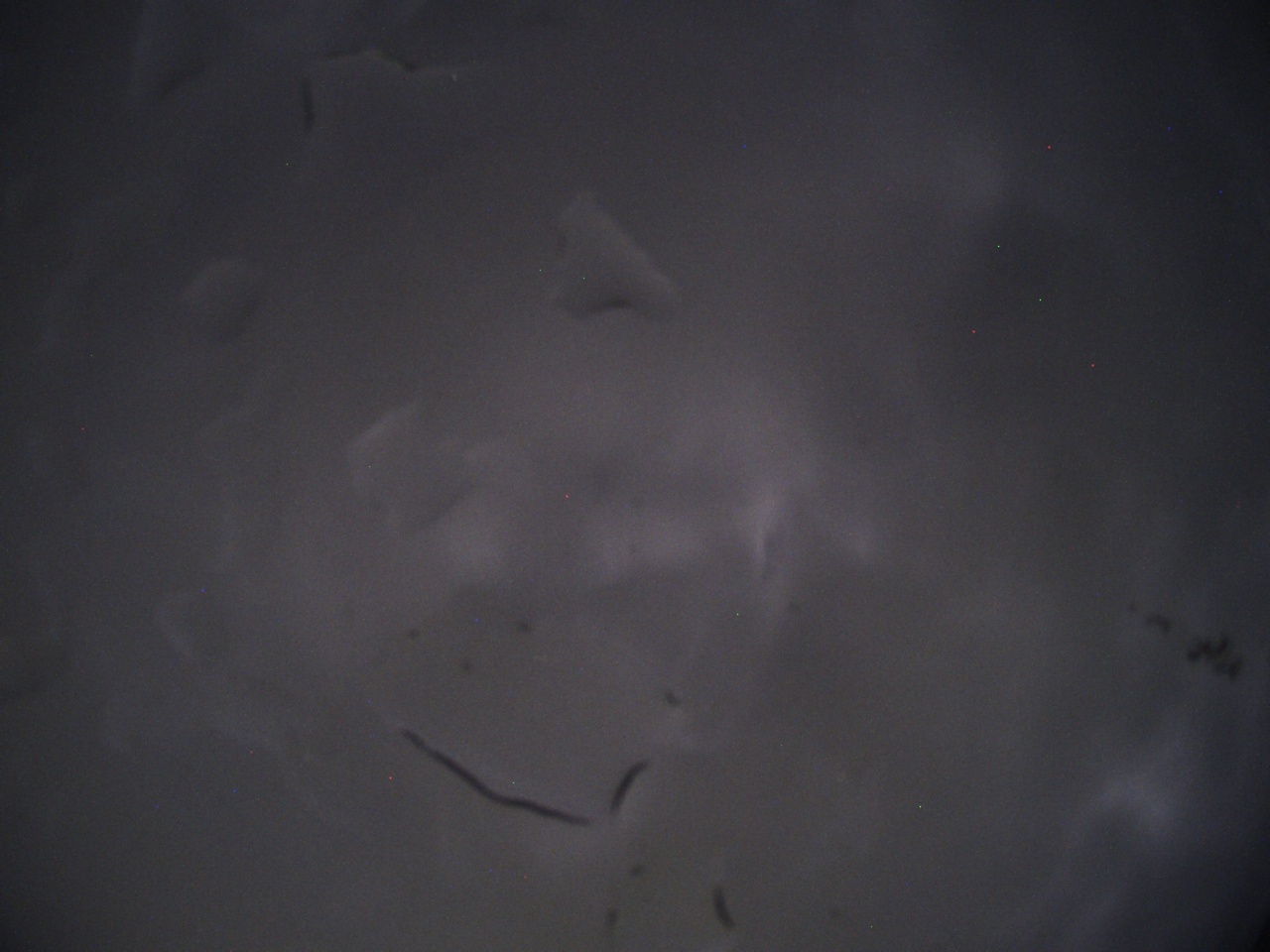 Tirschenreuther Nachbarschaft