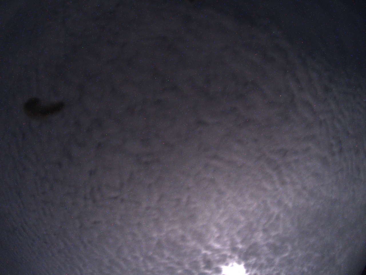 Tirschenreuther Nachbarschaft