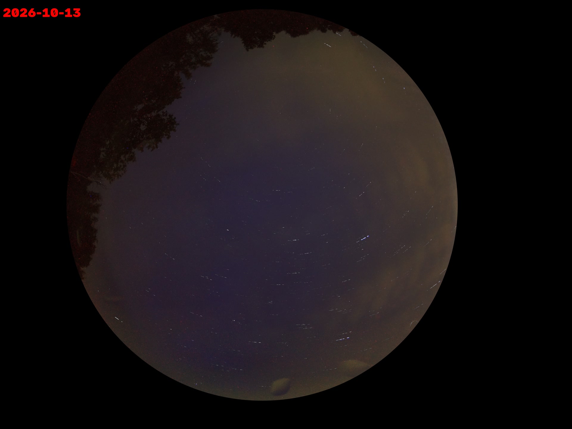 Rehfelde