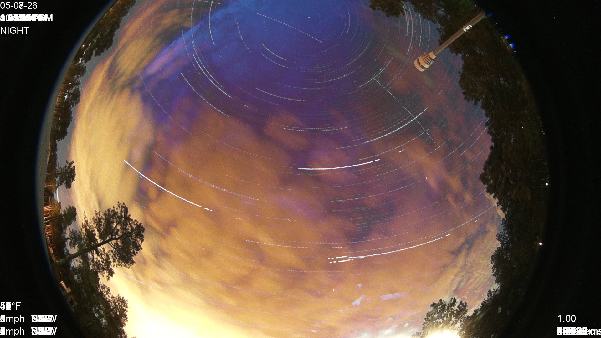 Black Forest,CO
